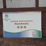 아파트 Nonnamelia *